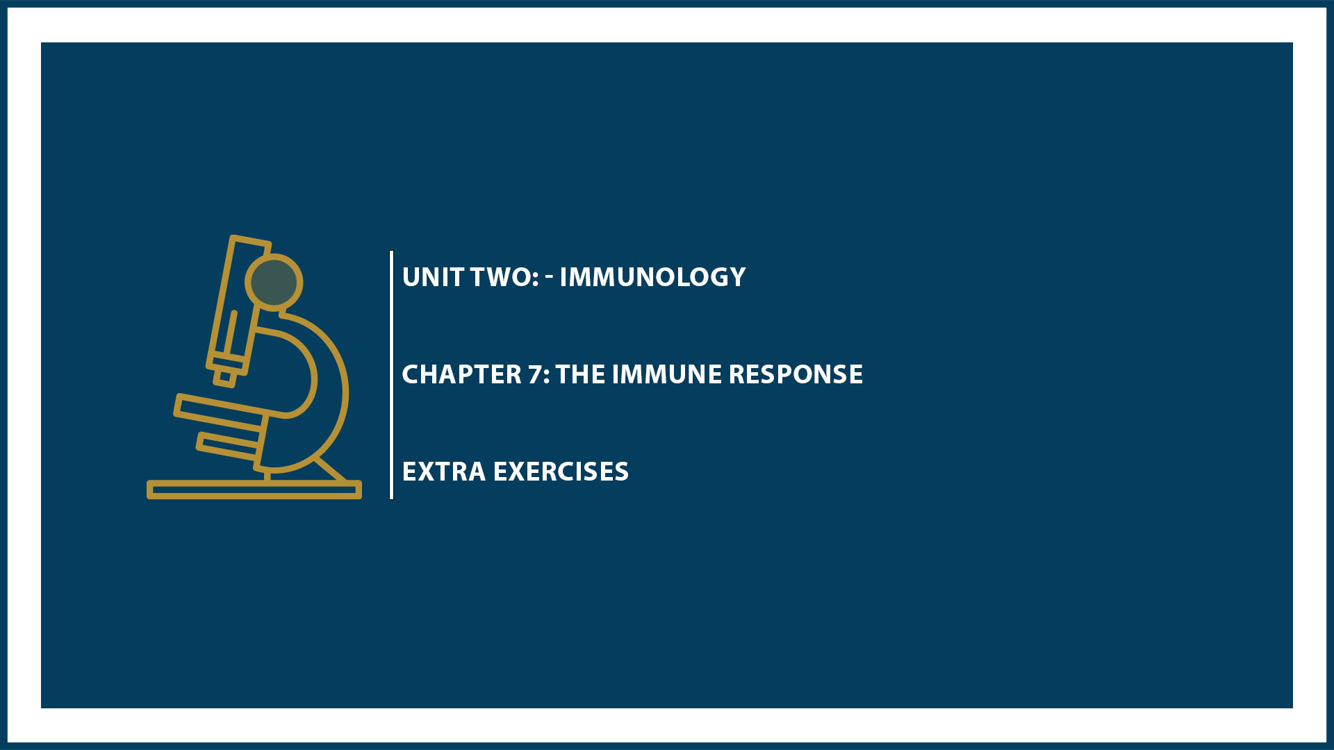 Unit Two: Chapter 7 - Extra Exercises